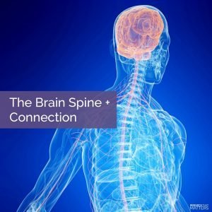 The connection between your brain and spine